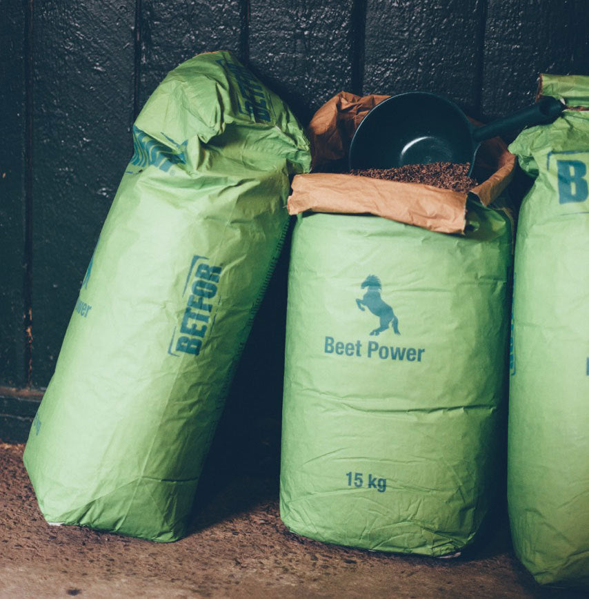 BETFOR Sugar beet pulp 12,5 kg