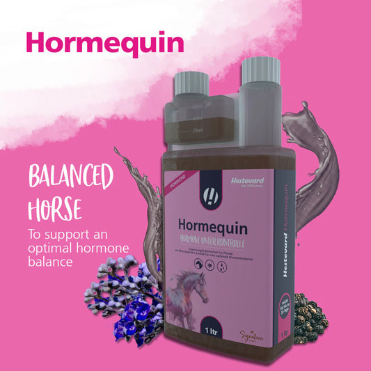 Hestevard HORMEQUIN, 1 litrs