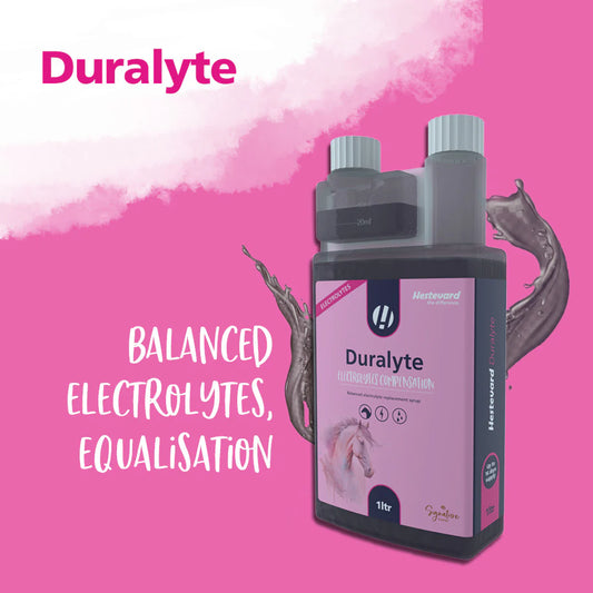Hestevard DURALYTE, 1 litrs