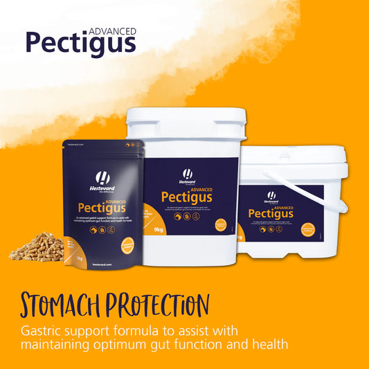 PECTIGUS ADVANCED