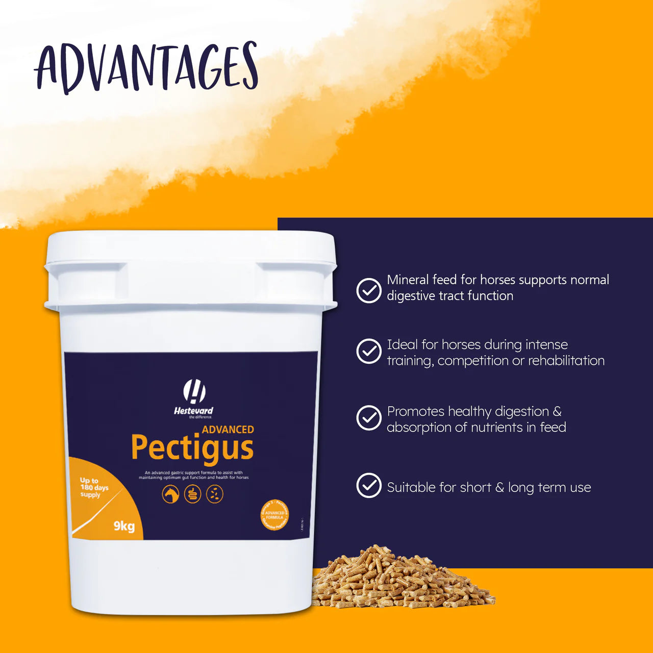 PECTIGUS ADVANCED