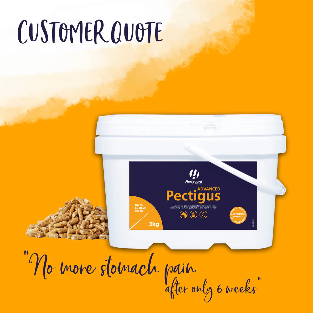 PECTIGUS ADVANCED