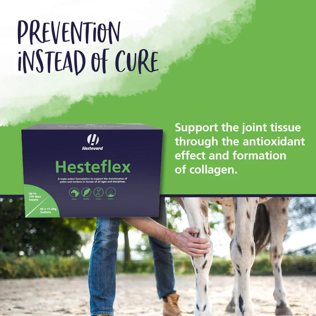 Hestevards HESTEFLEX