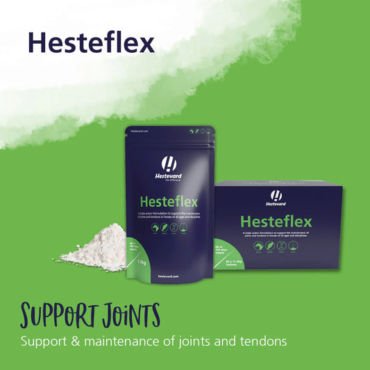 Hestevards HESTEFLEX