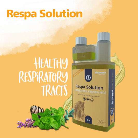 Hestevard RESPA SOLUTION, 1 litrs