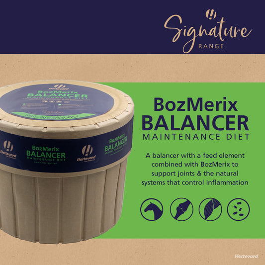 Hestevard BozMerix Balancer Maintenance Diet 10 kg