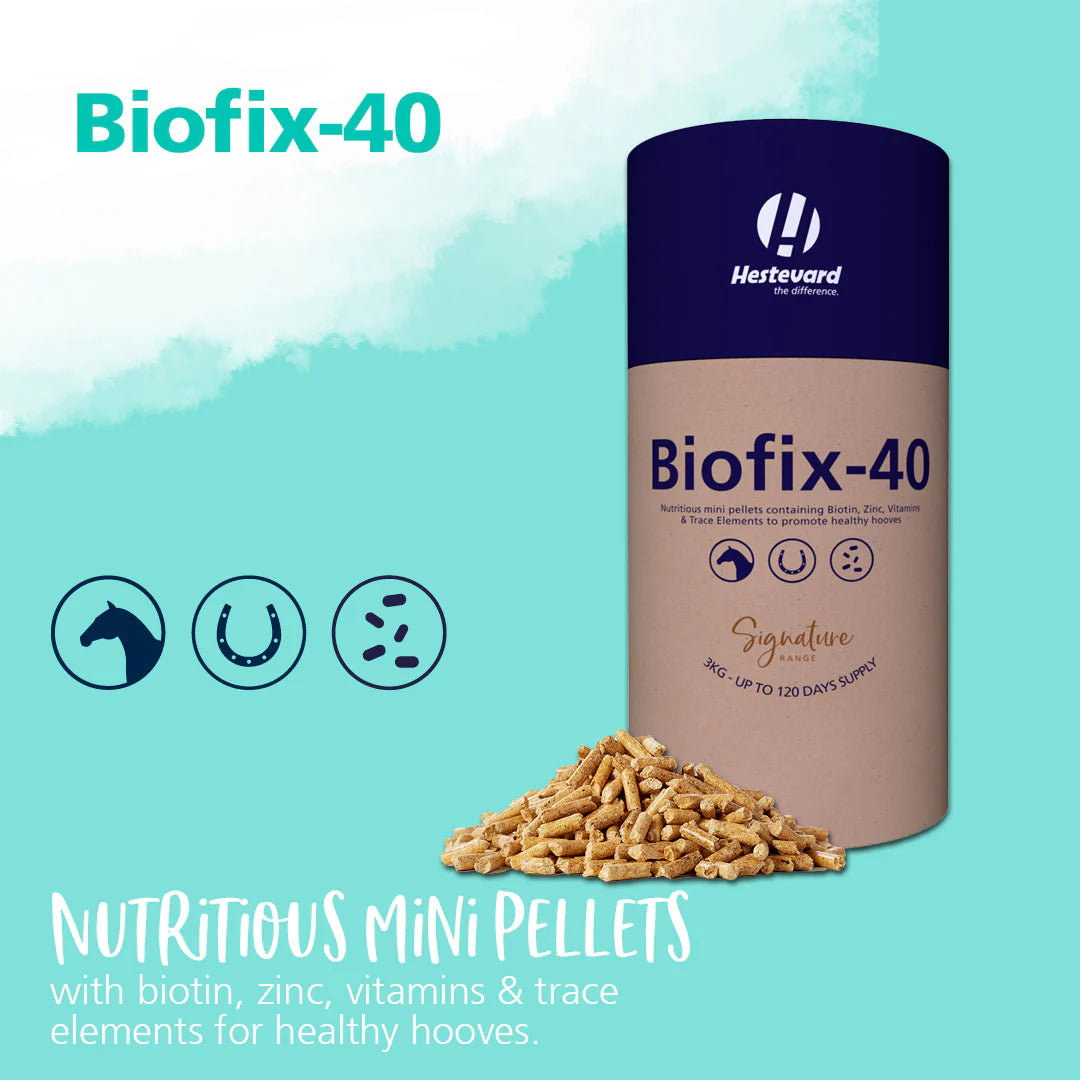 HESTEVARD BIOFIX-40, 3kg – Equus Anima Store