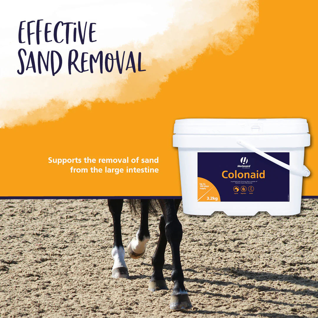 Hestevard COLONAID, 3.2kg (Psyllium Husk)