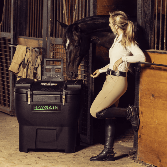 The Haygain HG 600 siena tvaicētājs