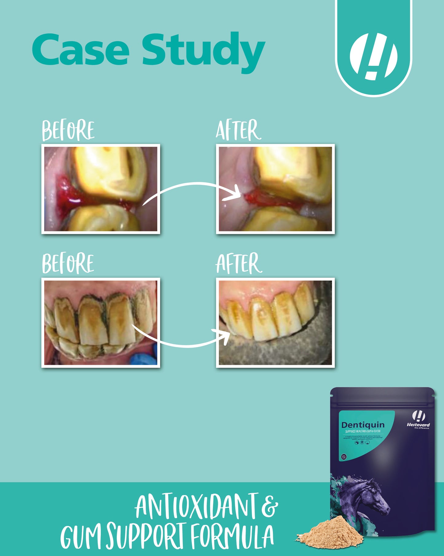 Hestevard Dentiquin, 1.5kg