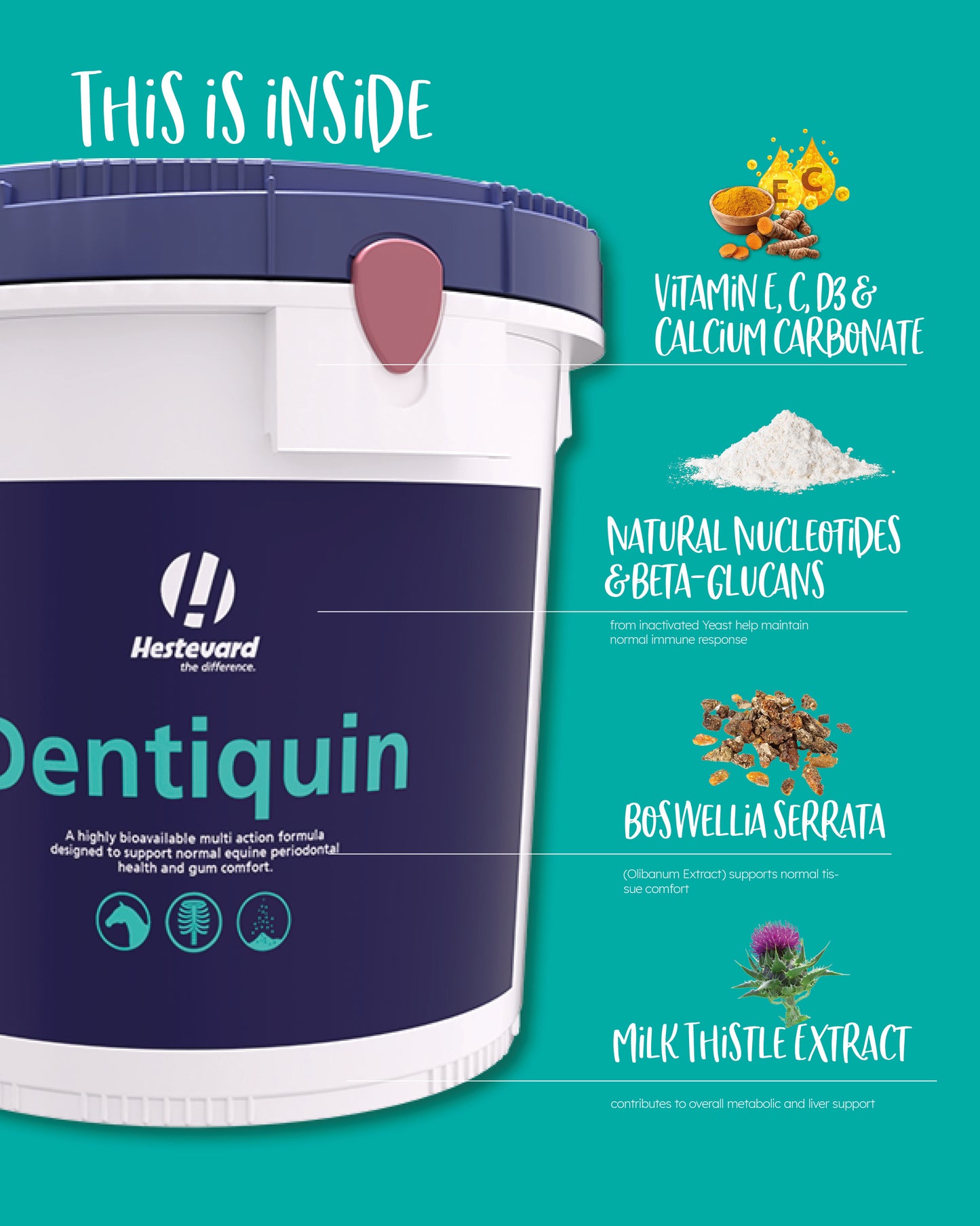 Hestevard Dentiquin, 1.5kg