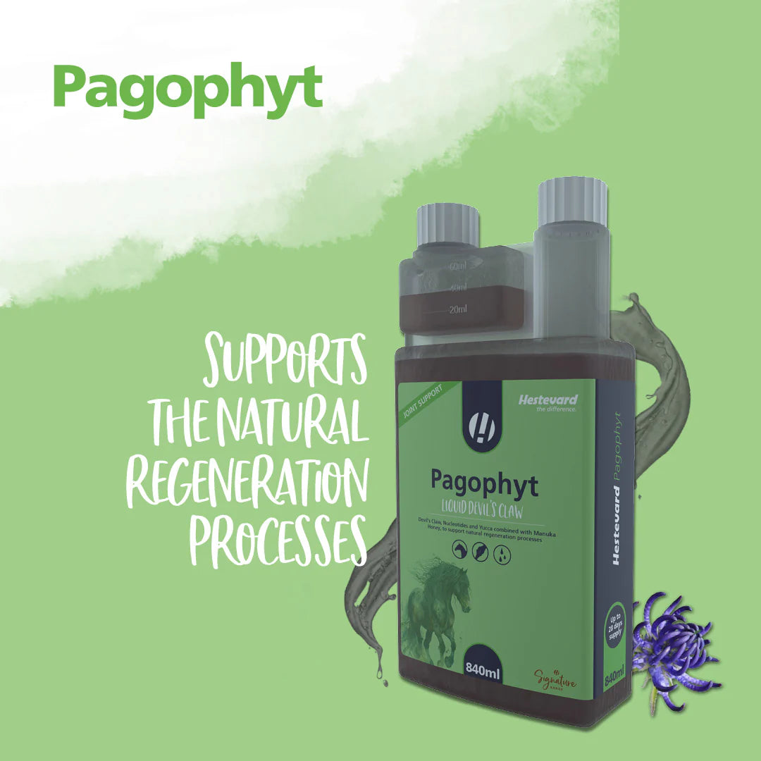 Hestevard PAGOPHYT, 840ml