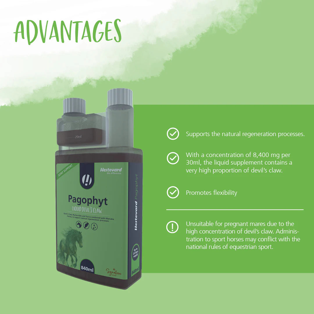 Hestevard PAGOPHYT, 840ml