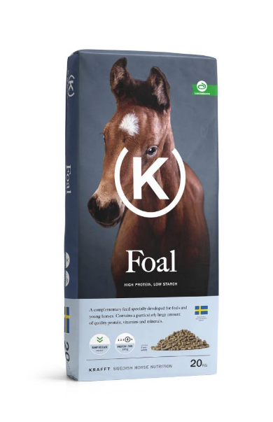 KRAFFT FOAL
