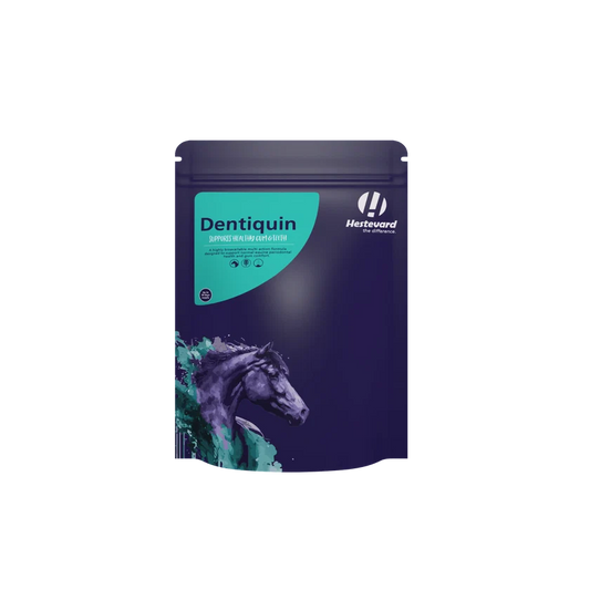 Hestevard Dentiquin, 1.5kg
