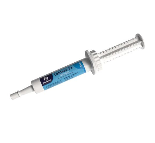 Hestevard Laktese Ex Oral Syringe