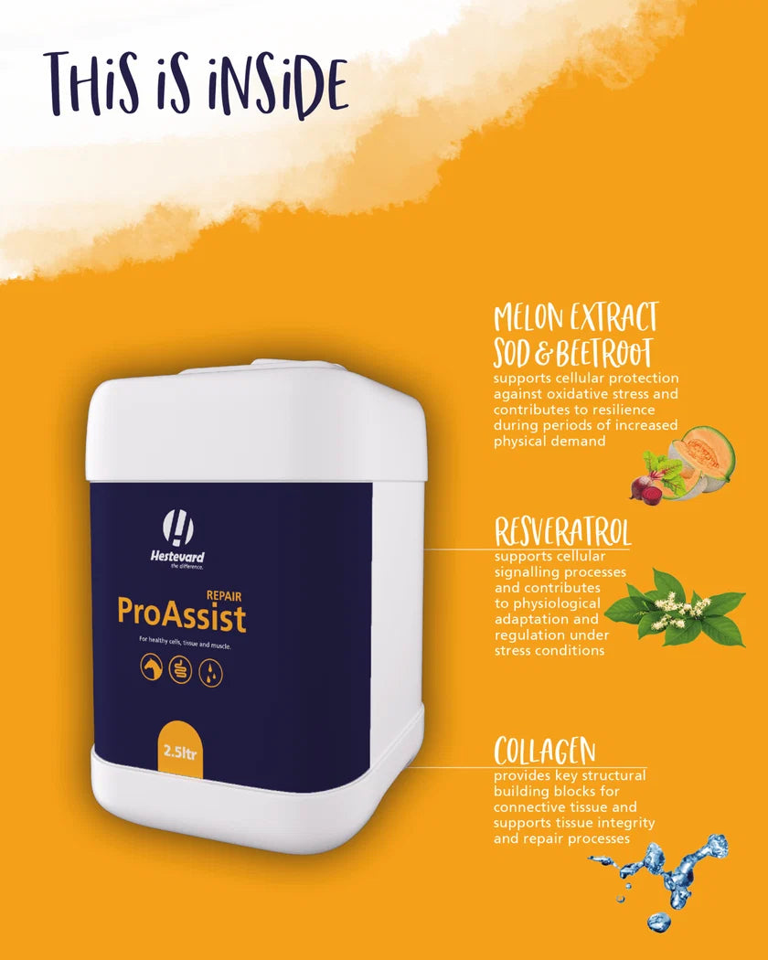 Hestevard ProAssist Repair, 2.5l