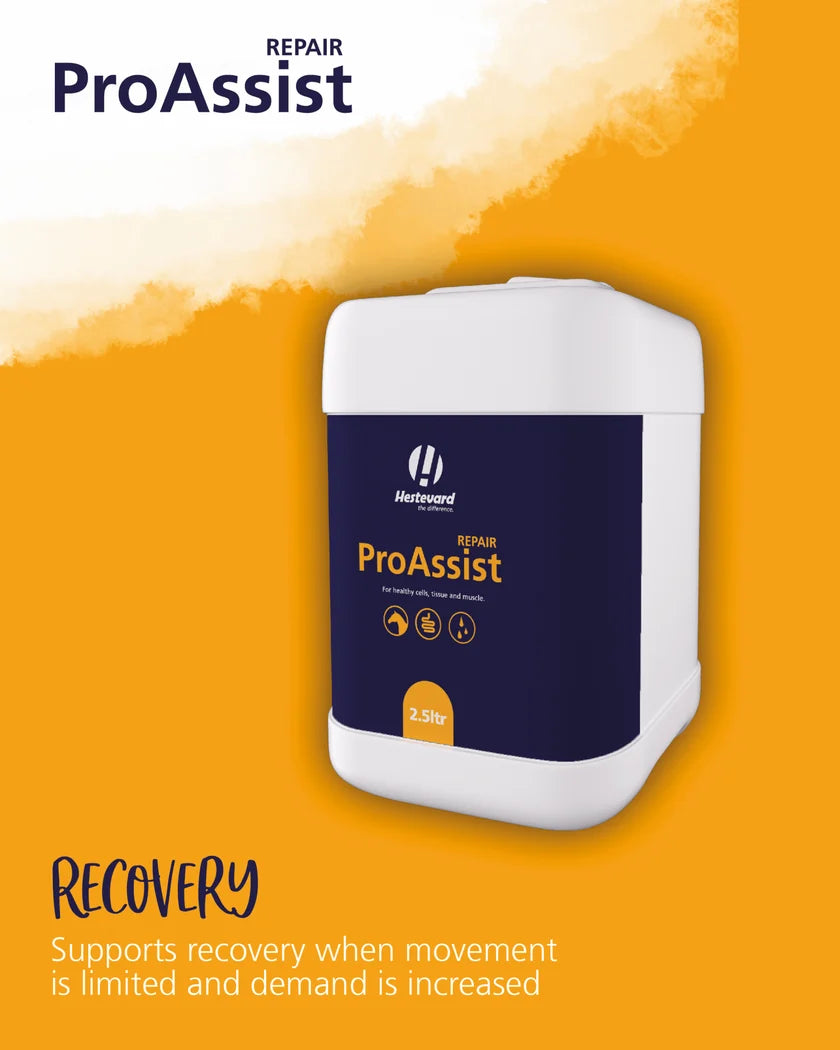 Hestevard ProAssist Repair, 2.5l
