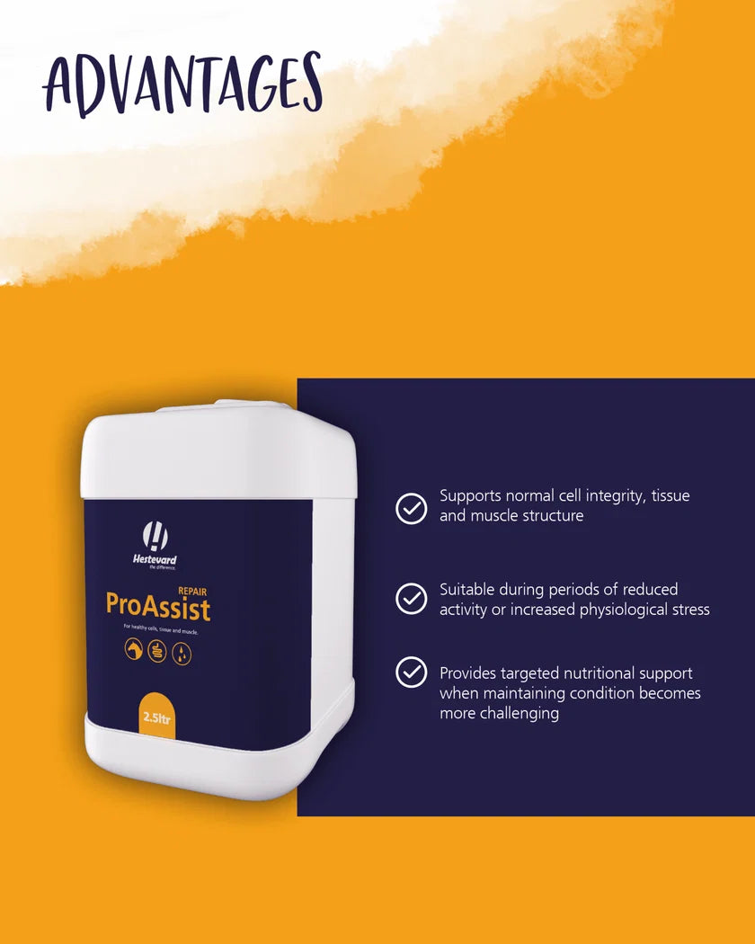 Hestevard ProAssist Repair, 2.5l